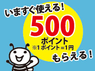 武州養蜂園の新規会員登録で500ポイント