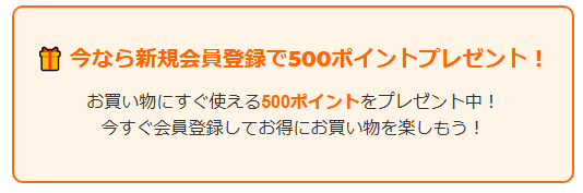 boardridersの新規会員登録で500ポイント